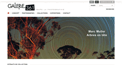 Desktop Screenshot of galerie361.com